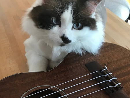 Entry image for Grace. Clicking this image will show a larger photo