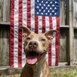 Entry image for Lila