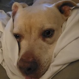 Entry image for Lucy