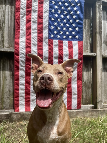 Entry image for Lila. Clicking this image will show a larger photo