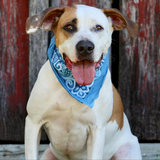 Entry image for Hubble 