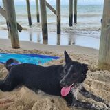 Entry image for Cali