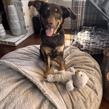 Entry image for Chloe