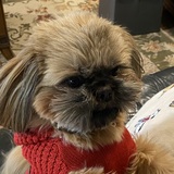 Entry image for Louie Fraser aka Louie the Red