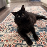 Entry image for Ferris 