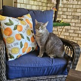 Entry image for Atticus Farabee 