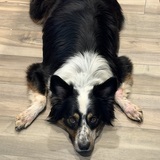 Entry image for Todd