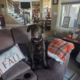 Entry image for Madison