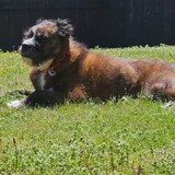 Entry image for Luna