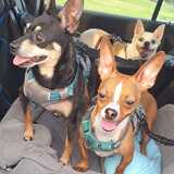 Entry image for The Gang - Klaus, Kreed, Baby Yoda