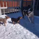 Entry image for Aphrodite, Hera and Zeus 