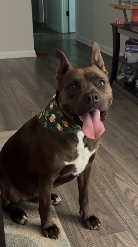 Entry image for Eli . Clicking this image will show a larger photo