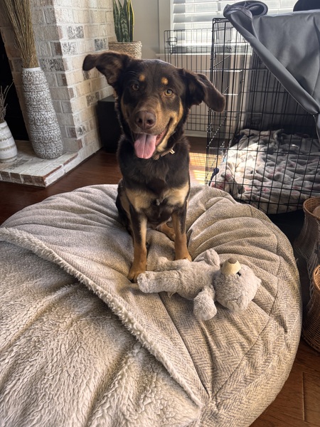 Entry image for Chloe. Clicking this image will show a larger photo