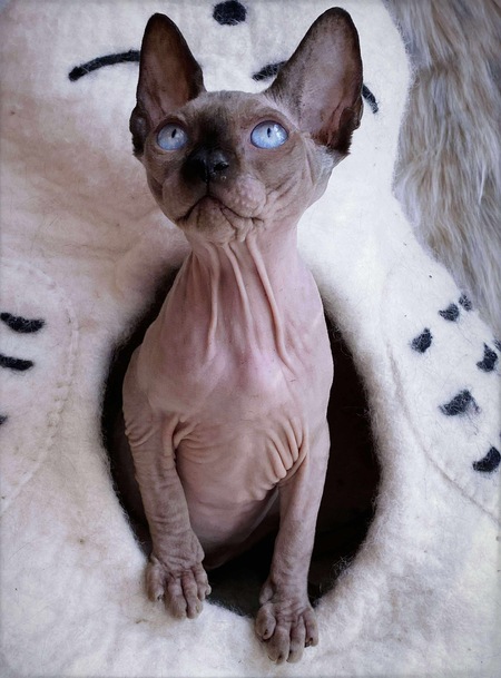 Entry image for Margot . Clicking this image will show a larger photo