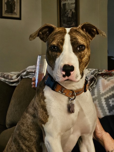 Entry image for Summitt . Clicking this image will show a larger photo