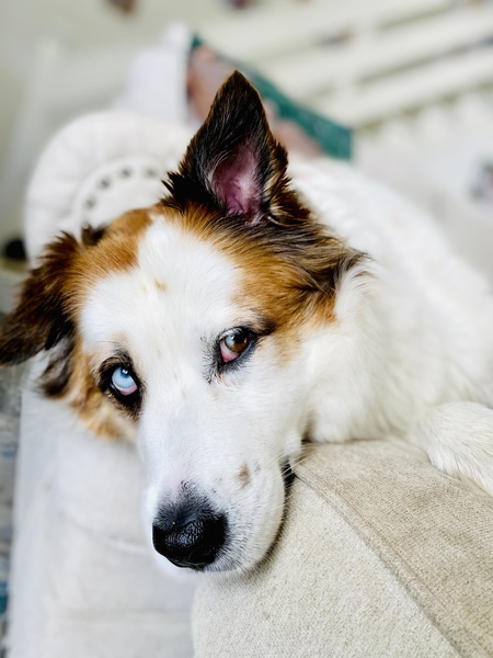 Entry image for Mya. Clicking this image will show a larger photo