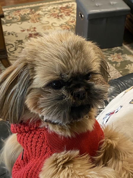 Entry image for Louie Fraser aka Louie the Red. Clicking this image will show a larger photo