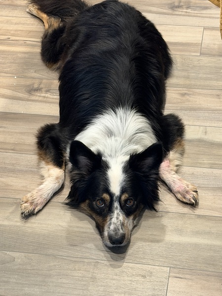 Entry image for Todd. Clicking this image will show a larger photo