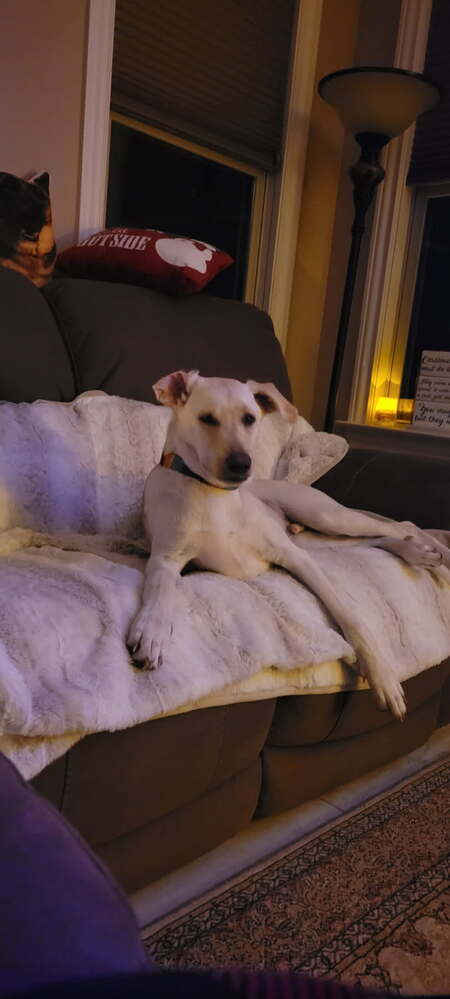 Entry image for Bodie. Clicking this image will show a larger photo