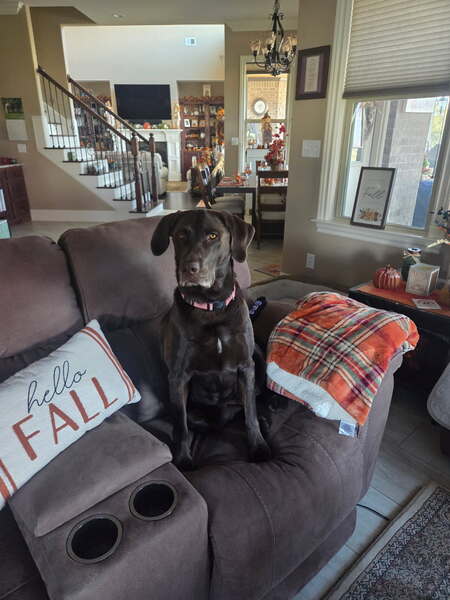 Entry image for Madison. Clicking this image will show a larger photo