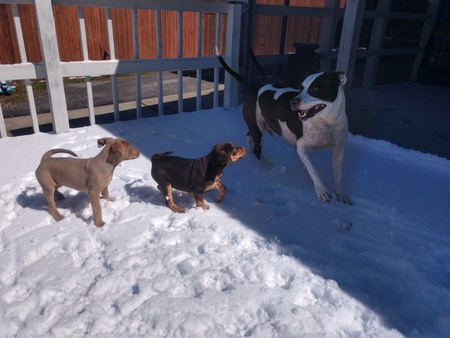 Entry image for Aphrodite, Hera and Zeus . Clicking this image will show a larger photo