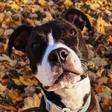 Entry image for George