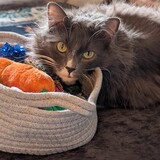 Entry image for Mila