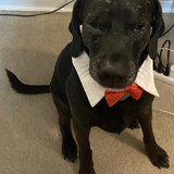 Entry image for Liam