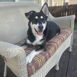 Entry image for Luke 