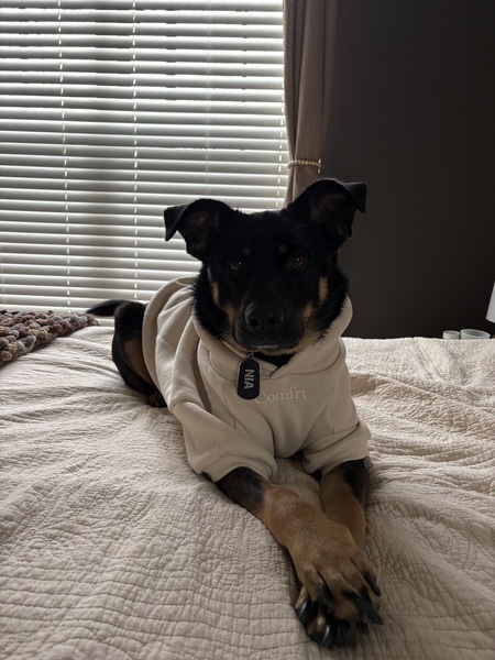 Entry image for Nia. Clicking this image will show a larger photo