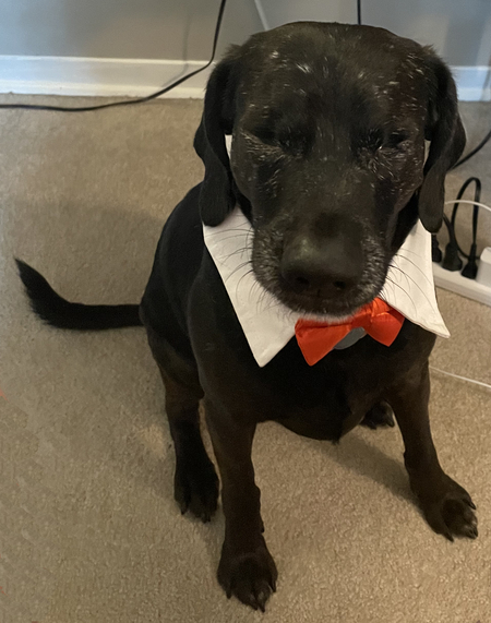 Entry image for Liam. Clicking this image will show a larger photo