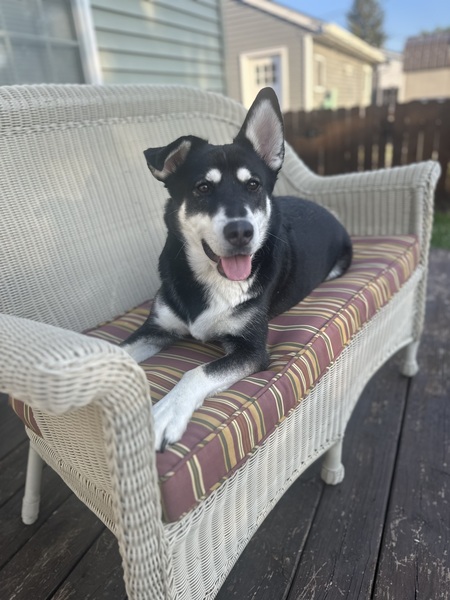 Entry image for Luke . Clicking this image will show a larger photo