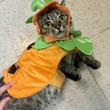 Entry image for Michelle