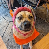 Entry image for Nora 