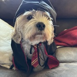 Entry image for Bentley