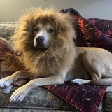 Entry image for Rye Whiskey