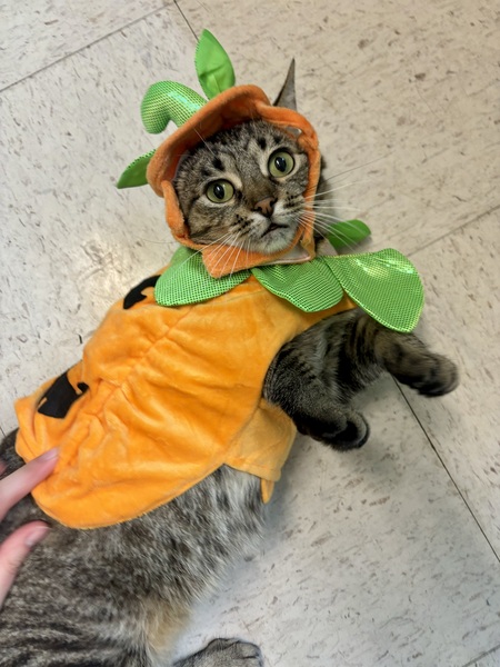 Entry image for Michelle. Clicking this image will show a larger photo