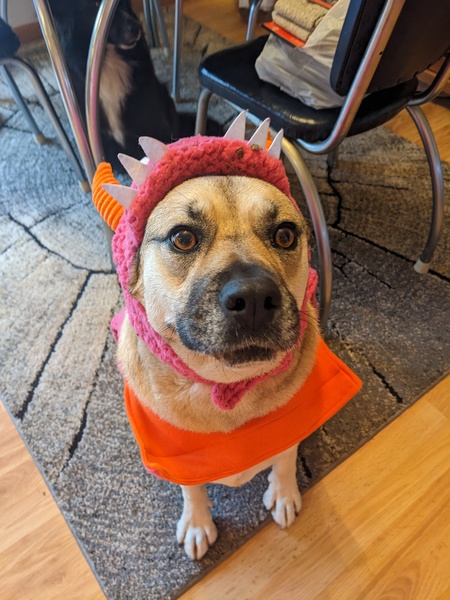 Entry image for Nora . Clicking this image will show a larger photo