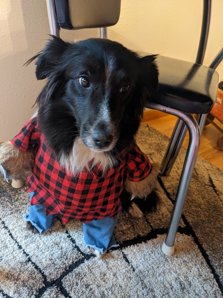 Entry image for Aspen . Clicking this image will show a larger photo