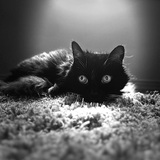 Entry image for Chyna