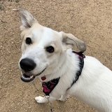 Entry image for Luna