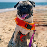 Entry image for Lila