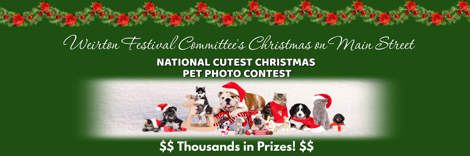 Banner for Cutest Christmas Pet Photo Contest