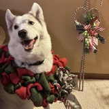 Entry image for Binks