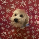 Entry image for Andy