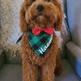 Entry image for Haema