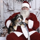 Entry image for Ripley