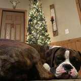 Entry image for Waylon