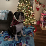 Entry image for Chunk