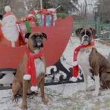 Entry image for Rory & Maverick